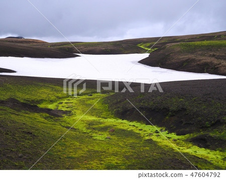 Landmanalaugar mountain in Iceland lava hills with bright lush green moss and snow tongues in cloudy 47604792