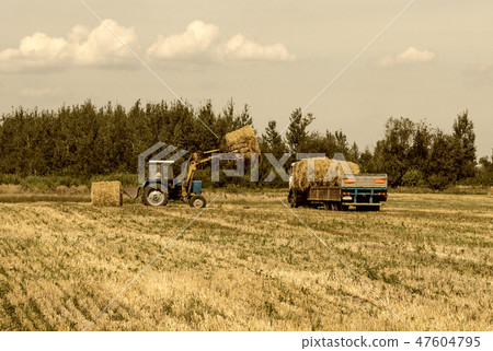 Farmer on a tractor picks haystack and loads bale of hay into the trailer, agriculture Farmer on a tractor picks haystack and loads bale of hay into the trailer, agriculture 47604795