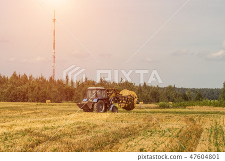 Farmer on a tractor picks haystack and loads bale of hay into the trailer, agriculture Farmer on a tractor picks haystack and loads bale of hay into the trailer, agriculture 47604801