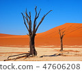 Namibia Dead Fray 47606208