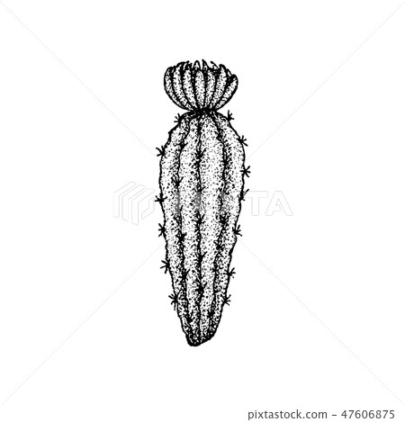 Dotwork Flower Cactus Dotwork Flower Cactus 47606875