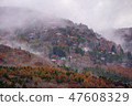 morning haze 47608329
