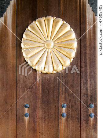 Chrysanthemum pattern Chrysanthemum pattern 47608405
