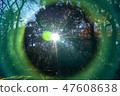 Nature  47608638