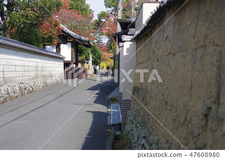 Nara Nara 47608980