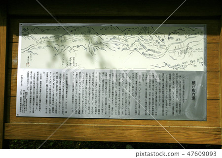 Maki stands in the root Nakasendo 47609093