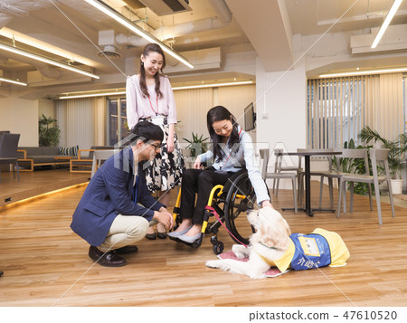 Materials supervised by the Japan Universal Manor Association Business Woman on a wheelchair and a helper dog 47610520