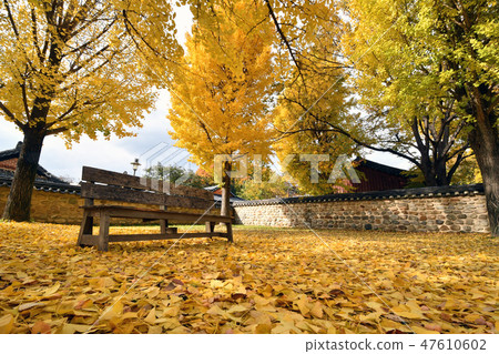 Autumn landscape with wooden chair 47610602