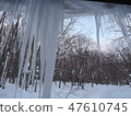  Icicle 47610745