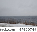 Sea of Japan in winter 47610749