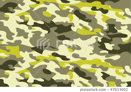 Camouflage military background. Camouflage military background. 47613602
