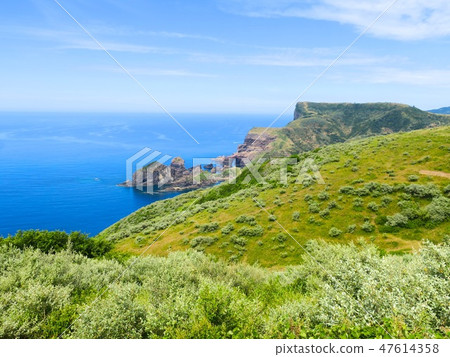 Nishinoshima的夏天Oki·Noga海岸③ 47614358