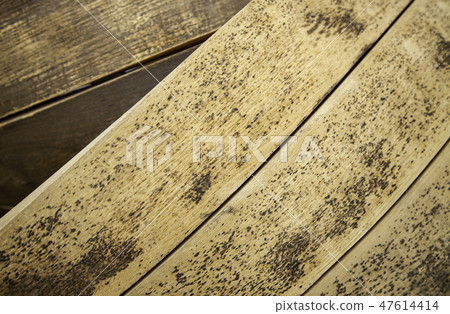 Old spoiled wood 47614414
