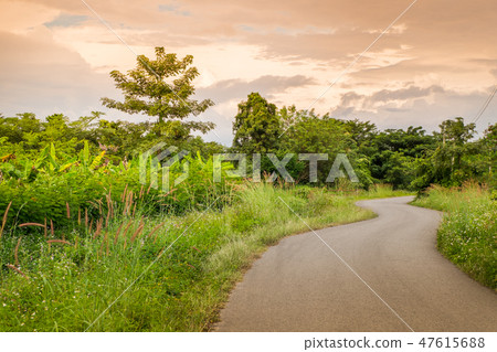 The rural road takes us to a beautiful green  47615688