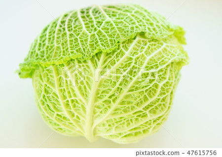 Savoy cabbage 47615756