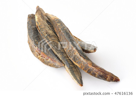 BonitoSōuda章Sonoda鰹魚鰹魚 47616136