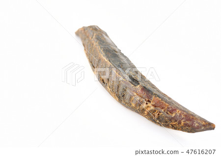 BonitoSōuda章Sonoda鰹魚鰹魚 47616207