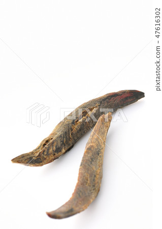 BonitoSōuda章Sonoda鰹魚鰹魚 BonitoSōuda章Sonoda鰹魚鰹魚 47616302