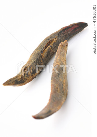 BonitoSōuda章Sonoda鰹魚鰹魚 BonitoSōuda章Sonoda鰹魚鰹魚 47616303