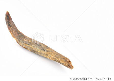 BonitoSōuda章Sonoda鰹魚鰹魚 47616413