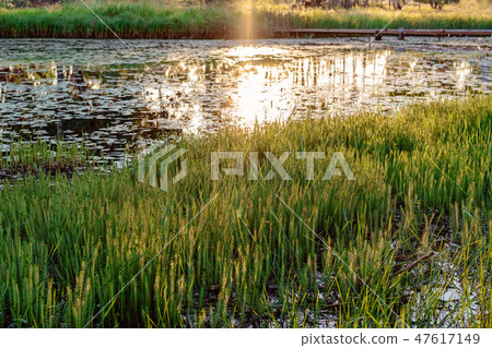 The Setting Sun Over A Still Lagoon 47617149