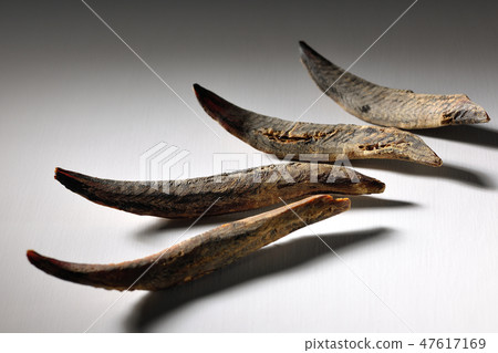 BonitoSōuda章Sonoda鰹魚鰹魚 47617169