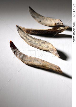 BonitoSōuda章Sonoda鰹魚鰹魚 BonitoSōuda章Sonoda鰹魚鰹魚 47617174