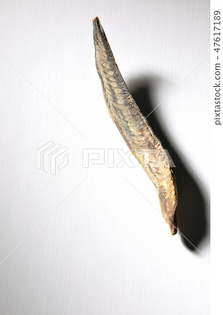 鰹魚的味道 47617189