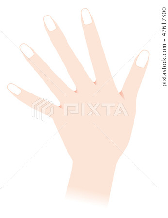 Hand hand illustration 47617300