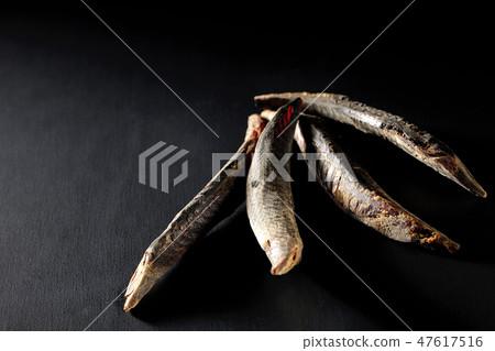 BonitoSōuda章Sonoda鰹魚鰹魚 BonitoSōuda章Sonoda鰹魚鰹魚 47617516