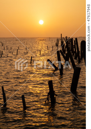 臺灣臺南七股瀉湖黃昏Tainan Coast, Asia, Taiwan 47617948