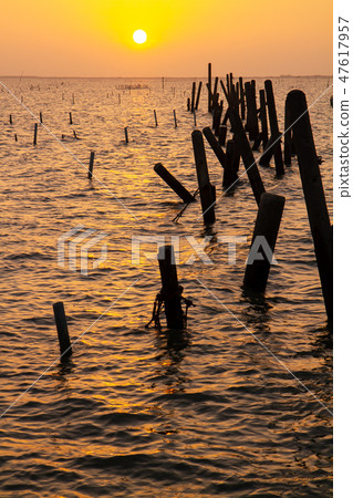 臺灣臺南七股瀉湖黃昏Tainan Coast, Asia, Taiwan 臺灣臺南七股瀉湖黃昏Tainan Coast, Asia, Taiwan 47617957