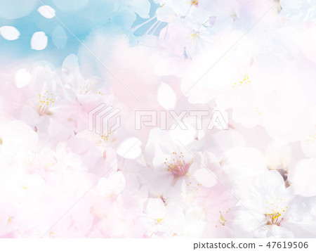 Water sky and cherry blossoms Water sky and cherry blossoms 47619506