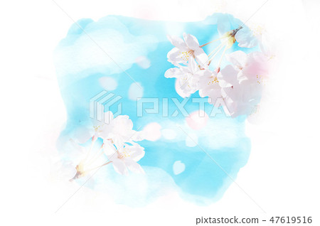 Water sky and cherry blossoms Water sky and cherry blossoms 47619516