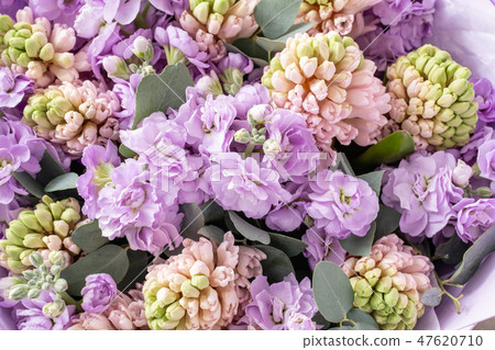 Bouquets of pink hyacinths and matthiola of lilac color in vase on wooden table. Spring flowers from Bouquets of pink hyacinths and matthiola of lilac color in vase on wooden table. Spring flowers from 47620710