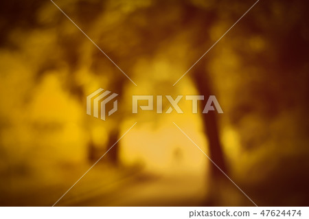 Mysterious autumn park. Mysterious autumn park. 47624474