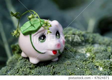 豬瓚 豬瓚 47624871