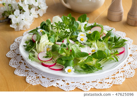 Spring salad with chickweed, bedstraw and yarrow Spring salad with chickweed, bedstraw and yarrow 47625096