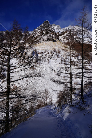 Asama先生的Tomi先生6 Asama先生的Tomi先生6 47625145