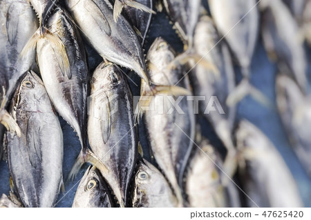 Fresh fish at local food market.Selective focus. 47625420