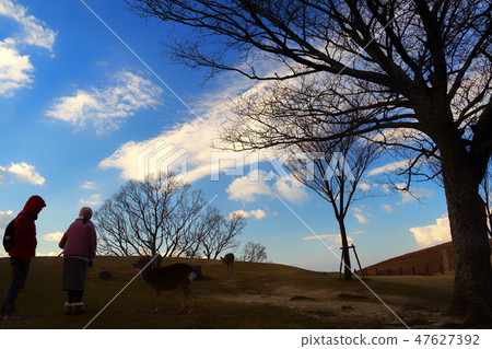 View from Wakusakusan Observatory 47627392