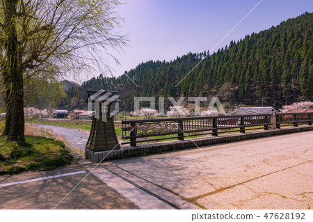 Sasebo cherry tree 47628192