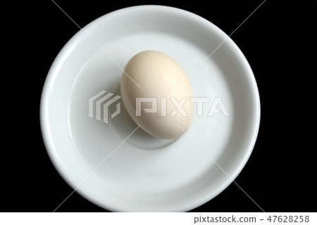One egg 47628258