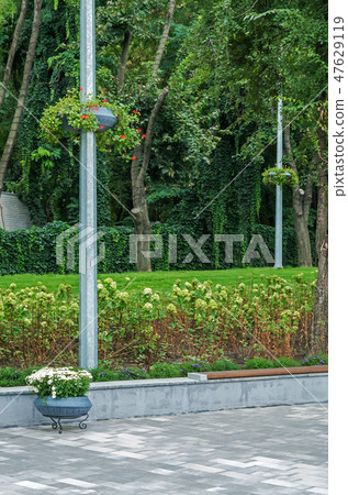 Basket with flowers, trees and winding vine 47629119