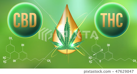 THC (Tetrahydrocannabinol) And CBD (Cannabidiol) - Stock Illustration ...