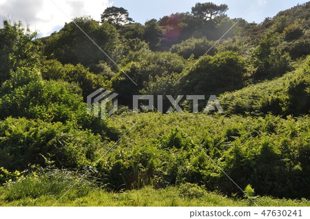 The Brittany coast 47630241