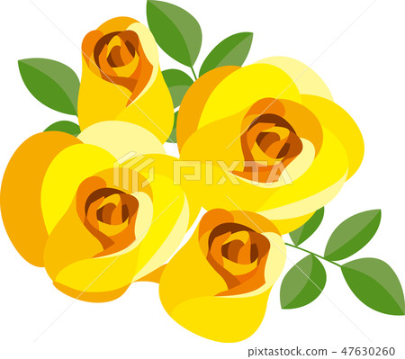 Yellow rose - Stock Illustration [47630260] - PIXTA