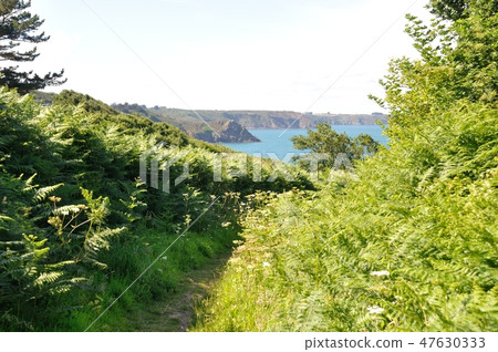 The Brittany coast 47630333