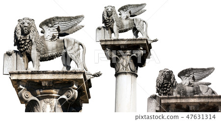 Winged lion of St Mark isolated - Verona Italy 47631314