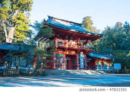 Katori神宮門清晨(千葉縣香取市)自2019年1月起 Katori神宮門清晨(千葉縣香取市)自2019年1月起 47631391